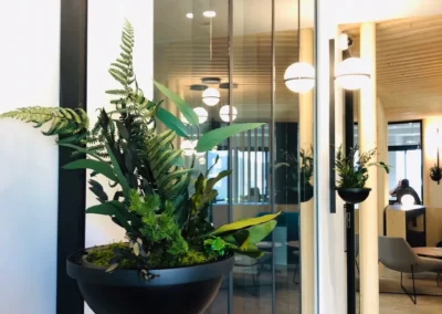 Le zoom sur les plantes stabilisées, les cloisons modulaires, les principaux matériaux : sol souple eco-responsable, bois naturel, etc démontre l'intérêt porté par l'agence d'architecture ESPERLUETTE STUDIO au développement durable et son engagement pour une architecture du sens.